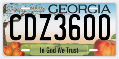 GA license plate CDZ3600