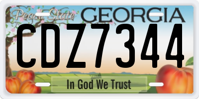 GA license plate CDZ7344