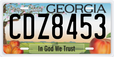 GA license plate CDZ8453