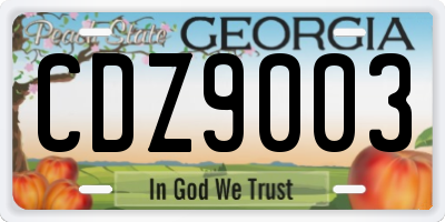 GA license plate CDZ9003