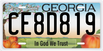 GA license plate CE8D819