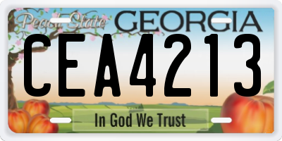 GA license plate CEA4213