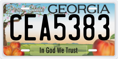 GA license plate CEA5383