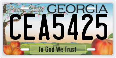 GA license plate CEA5425