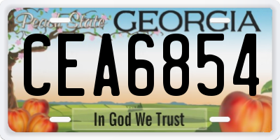 GA license plate CEA6854