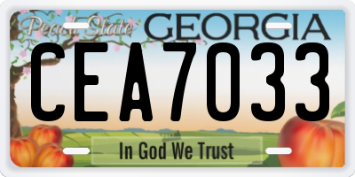 GA license plate CEA7033