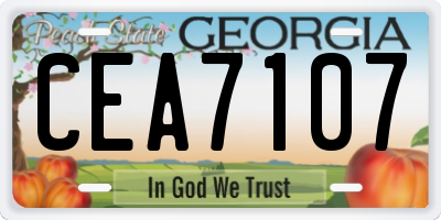 GA license plate CEA7107