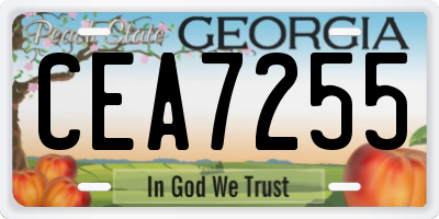 GA license plate CEA7255