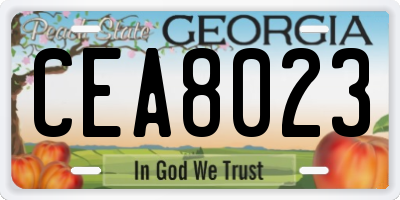 GA license plate CEA8023