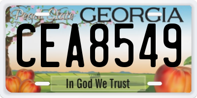 GA license plate CEA8549