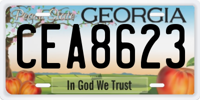 GA license plate CEA8623