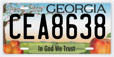GA license plate CEA8638