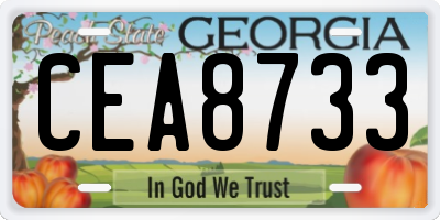 GA license plate CEA8733