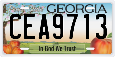 GA license plate CEA9713