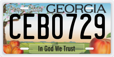 GA license plate CEB0729