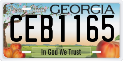 GA license plate CEB1165