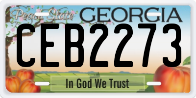GA license plate CEB2273