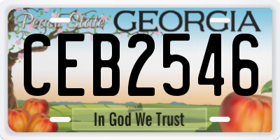 GA license plate CEB2546