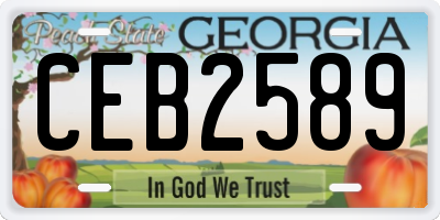 GA license plate CEB2589