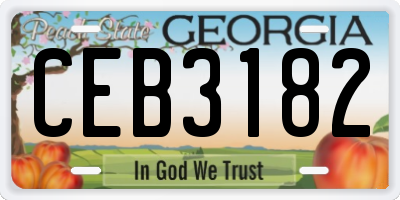 GA license plate CEB3182