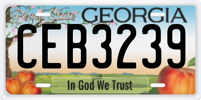 GA license plate CEB3239