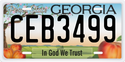 GA license plate CEB3499