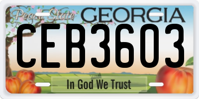 GA license plate CEB3603