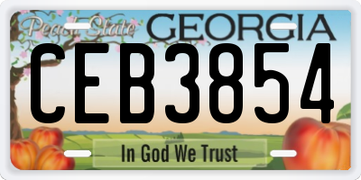 GA license plate CEB3854