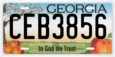 GA license plate CEB3856