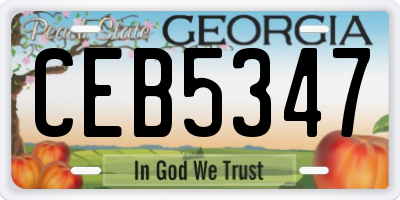GA license plate CEB5347