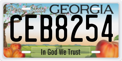 GA license plate CEB8254