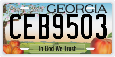 GA license plate CEB9503