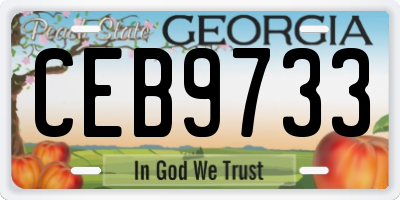 GA license plate CEB9733