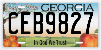 GA license plate CEB9827