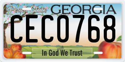 GA license plate CEC0768