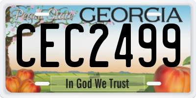 GA license plate CEC2499