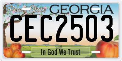 GA license plate CEC2503