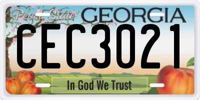 GA license plate CEC3021