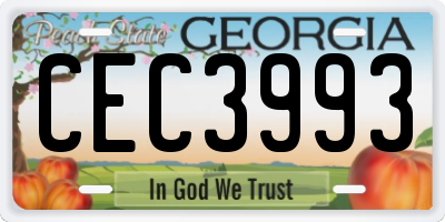 GA license plate CEC3993