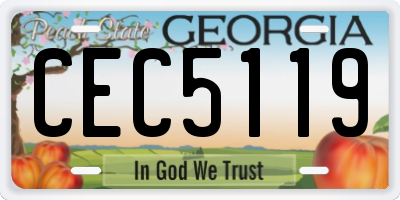 GA license plate CEC5119