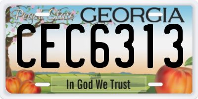 GA license plate CEC6313