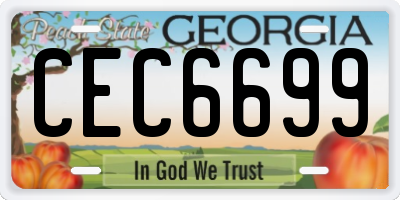GA license plate CEC6699
