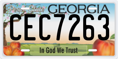 GA license plate CEC7263