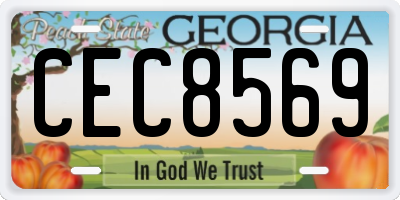 GA license plate CEC8569
