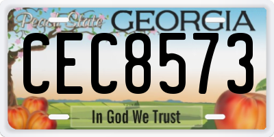 GA license plate CEC8573