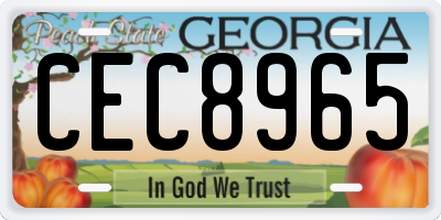 GA license plate CEC8965