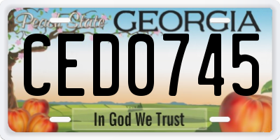 GA license plate CED0745