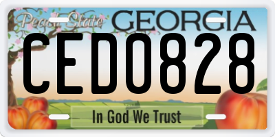 GA license plate CED0828