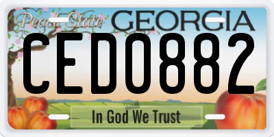 GA license plate CED0882