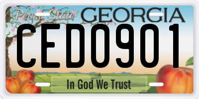 GA license plate CED0901